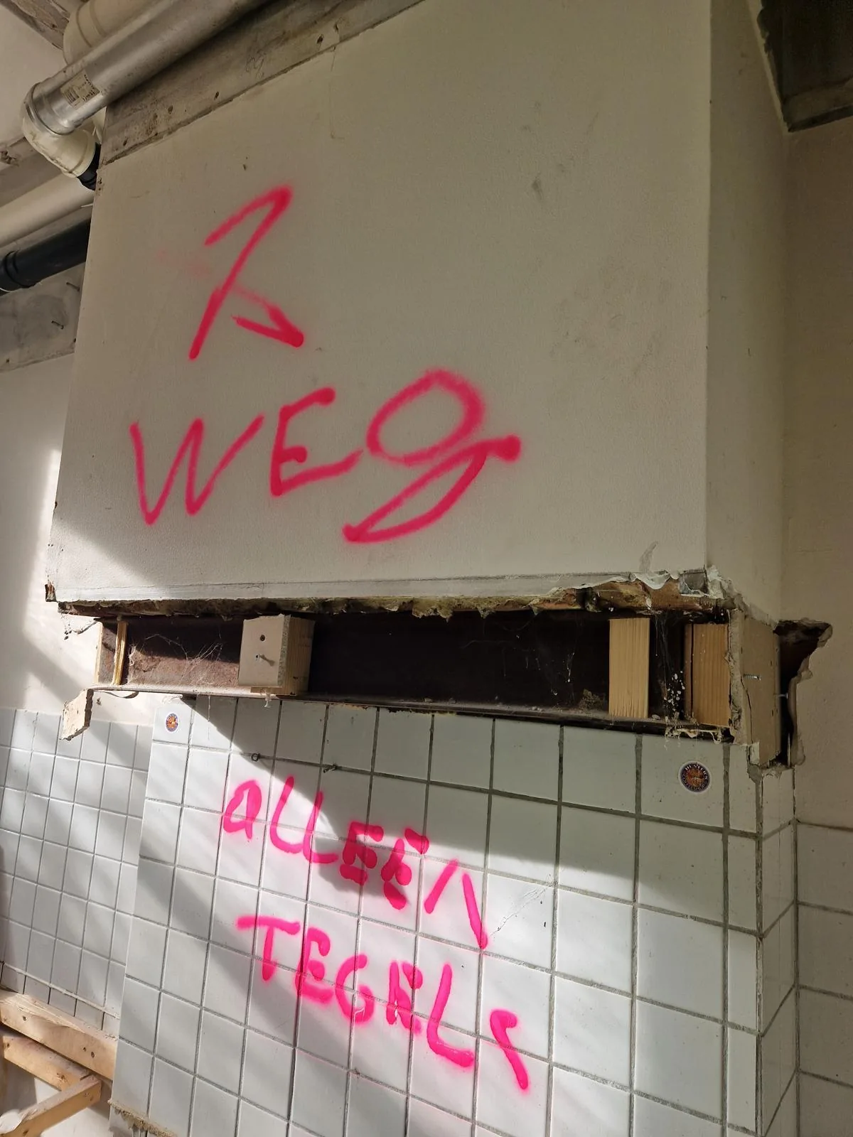 Schoorsteen verwijderen